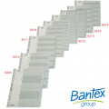 BANTEX 6210 A4 (1-10) 膠質 INDEX DIVIDER
