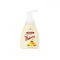 YOUNG LIVING THIEVES 盜賊潔手泡沫 236 ML