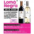 LOMA NEGRA 紅/白酒