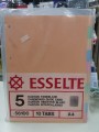 盤點清倉 - ESSELTE 56100  A4 5色紙質 INDEX DIVIDER (1包50張=10套)