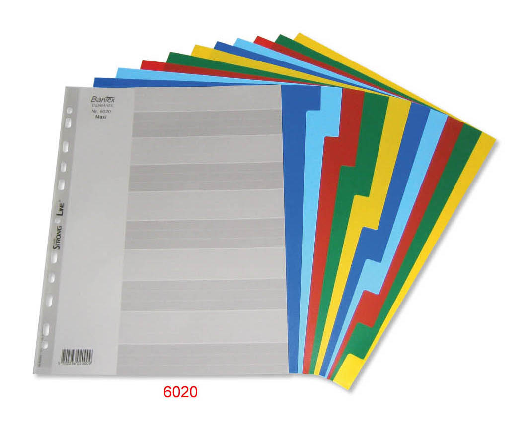 BANTEX 6020 A4 MAXI <10級> 彩色膠質索引分類