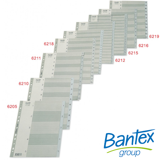 BANTEX 6213 A4 (1-20) PP DIVIDER