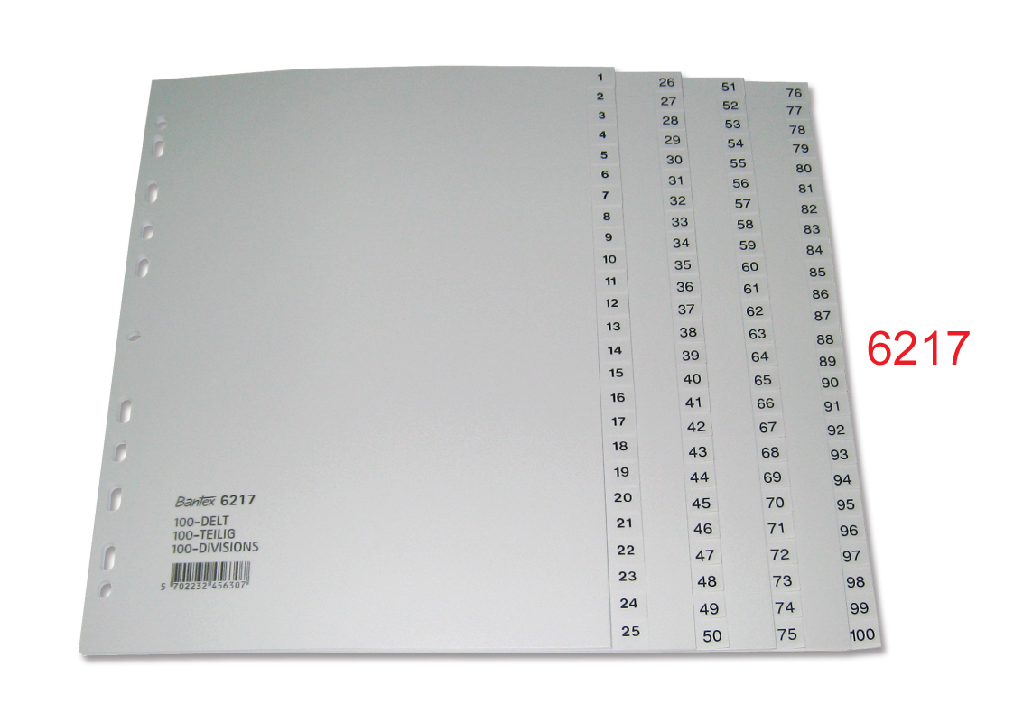 BANTEX 6217 A4 (1-100) 胶质 INDEX DIVIDER