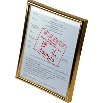 A5 PLASTIC CERTIFICATE FRAME